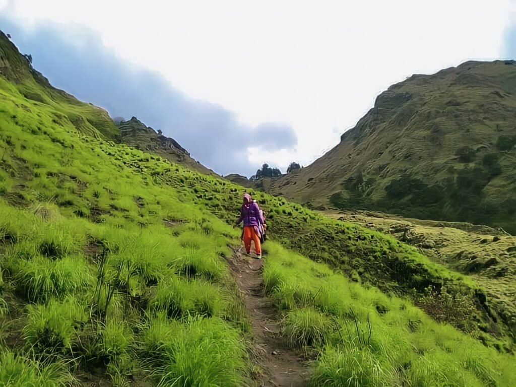 Rinjani Trekking 2 Days / 1 Night via Aik Berik