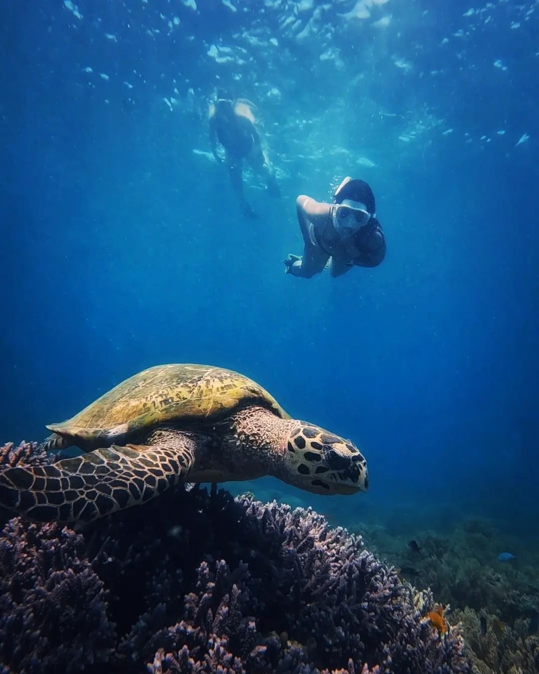 snorkeling gili trawangan